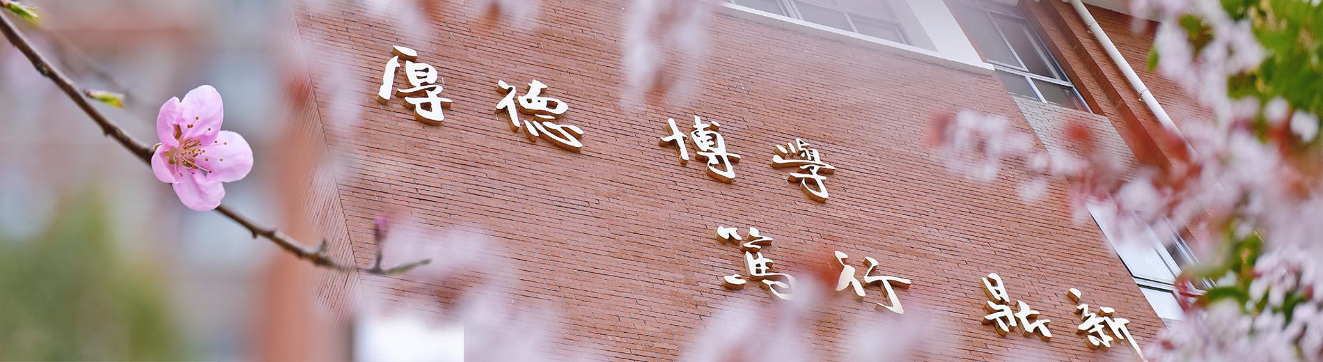 凯博赌场